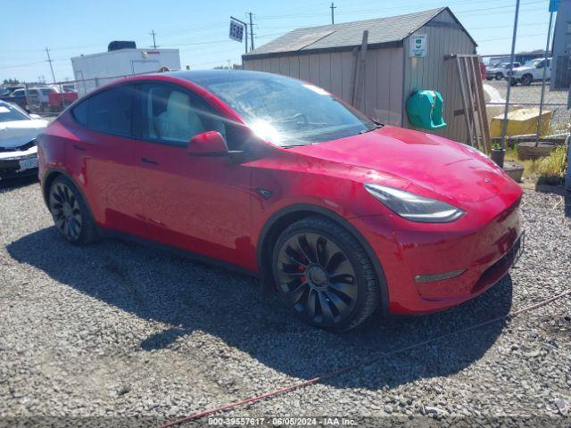  Salvage Tesla Model Y