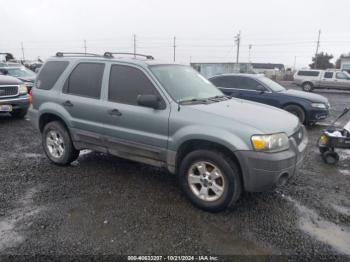  Salvage Ford Escape