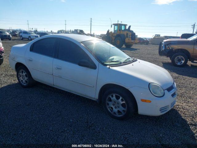  Salvage Dodge Neon