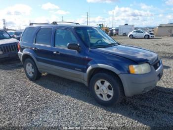  Salvage Ford Escape