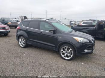  Salvage Ford Escape