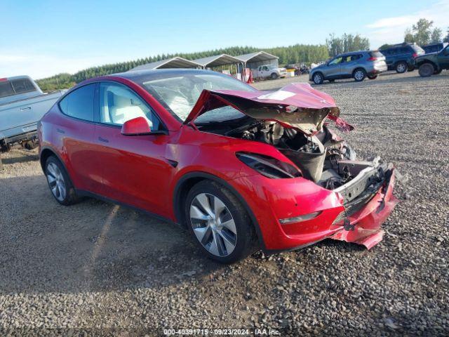  Salvage Tesla Model Y