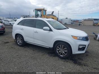  Salvage Kia Sorento