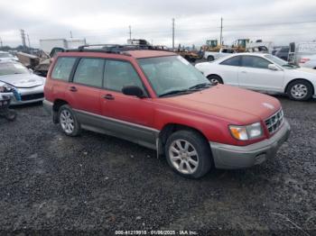  Salvage Subaru Forester