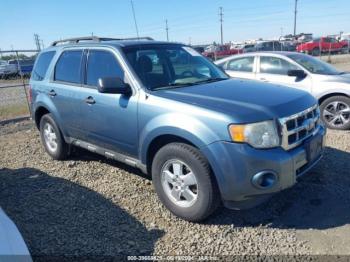  Salvage Ford Escape