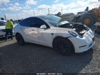  Salvage Tesla Model Y