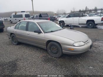  Salvage Chevrolet Lumina