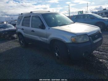  Salvage Ford Escape