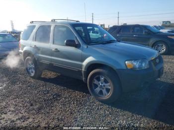  Salvage Ford Escape