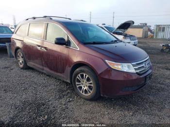  Salvage Honda Odyssey