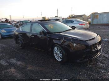  Salvage Nissan Maxima