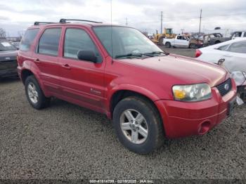  Salvage Ford Escape