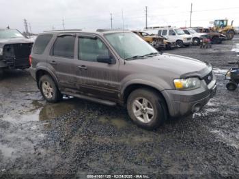  Salvage Ford Escape