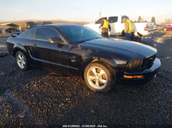  Salvage Ford Mustang