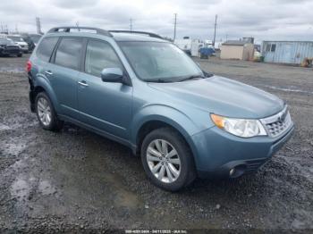  Salvage Subaru Forester