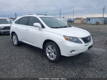  Salvage Lexus RX