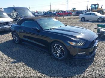  Salvage Ford Mustang