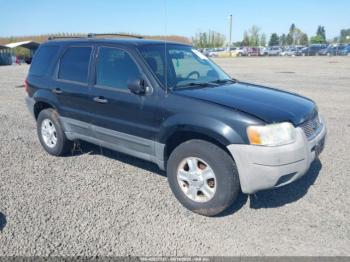  Salvage Ford Escape