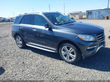  Salvage Mercedes-Benz M-Class
