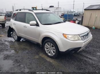  Salvage Subaru Forester