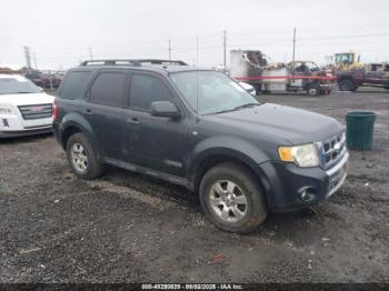  Salvage Ford Escape