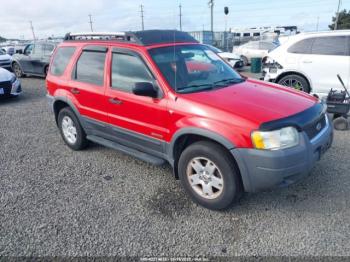  Salvage Ford Escape