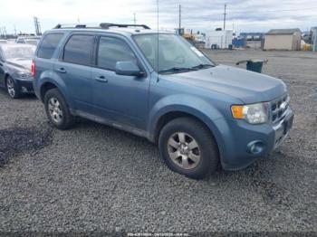  Salvage Ford Escape