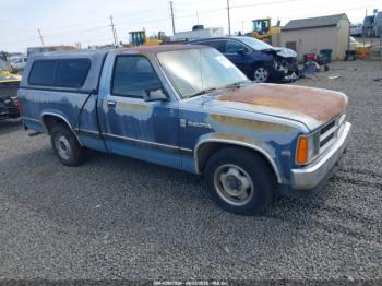  Salvage Dodge Dakota