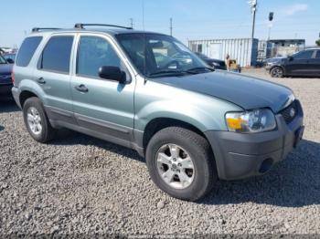  Salvage Ford Escape