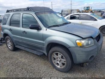  Salvage Ford Escape