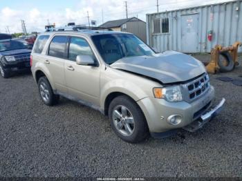  Salvage Ford Escape