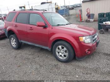  Salvage Ford Escape
