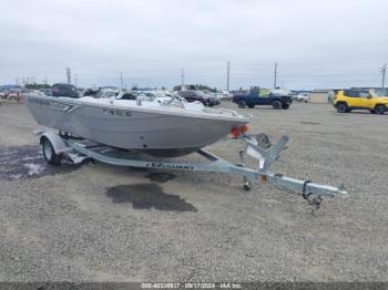  Salvage Kingfisher Other