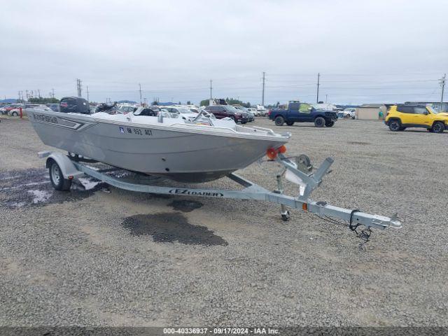  Salvage Kingfisher Other