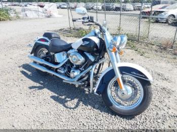  Salvage Harley-Davidson Flstn