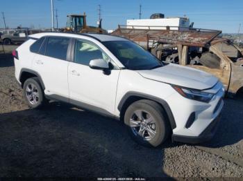  Salvage Toyota RAV4