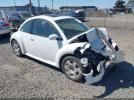 Volkswagen Beetle Glx Image 1
