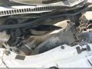 Volkswagen Beetle Glx Image 17
