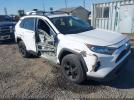 Toyota RAV4 Xle Image 1