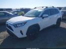 Toyota RAV4 Xle Image 3