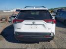 Toyota RAV4 Xle Image 12