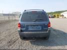 Ford Escape Xlt Image 13