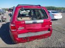 Ford Escape Limited Image 5