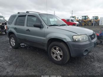  Salvage Ford Escape