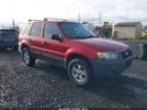 Ford Escape Image 1