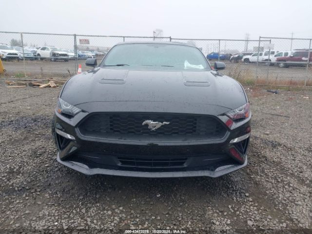Ford Mustang Ecoboost Premium Image 2
