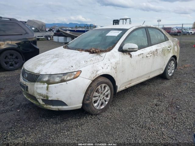 Kia Forte Ex Image 7