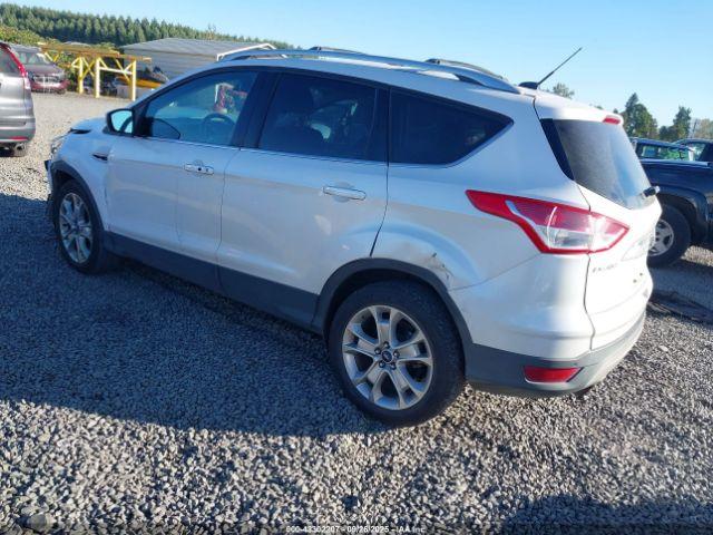 Ford Escape Titanium Image 14