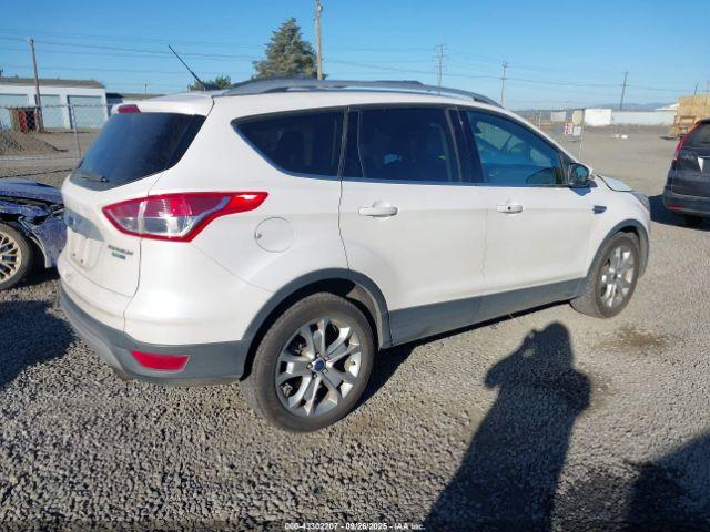 Ford Escape Titanium Image 5