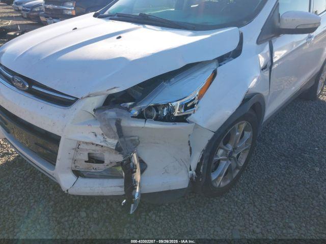 Ford Escape Titanium Image 8